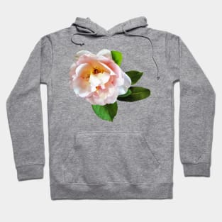 Pale Pink Camellia Hoodie